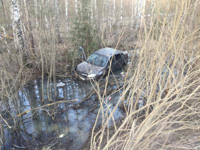 В Клепиковском районе водитель пытался избежать столкновения с лосем и улетел в кювет